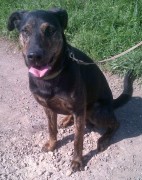 IMG-20120525-00390-624x786