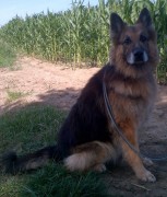 IMG-20120724-00564-624x732