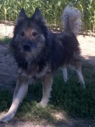 IMG-20120811-00722-624x832