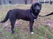 IMG-20121227-01555-624x468