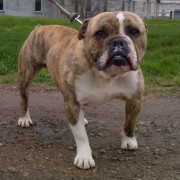 IMG-20130330-01912-624x625