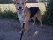 IMG-20130607-02144-624x468