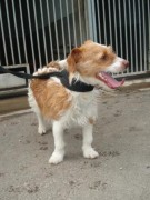 ???????????????????????????????