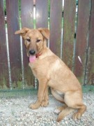 ???????????????????????????????