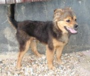 ???????????????????????????????