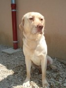 ???????????????????????????????