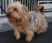 ???????????????????????????????