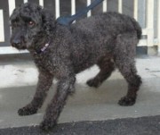 ???????????????????????????????