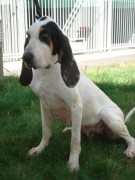 ???????????????????????????????