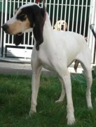 ???????????????????????????????