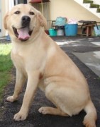 ???????????????????????????????