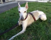 ???????????????????????????????