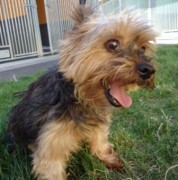 ???????????????????????????????