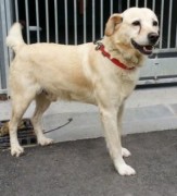 20130919_175725 - Copie