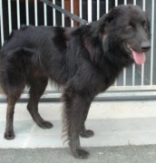 ???????????????????????????????