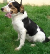 ???????????????????????????????