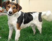 ???????????????????????????????