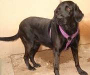 ???????????????????????????????