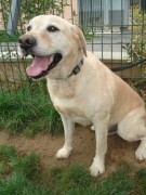 ???????????????????????????????