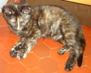 ???????????????????????????????