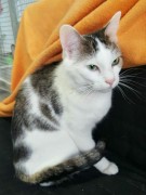 SAVE_20190917_090109