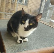 SAVE_20190917_090112