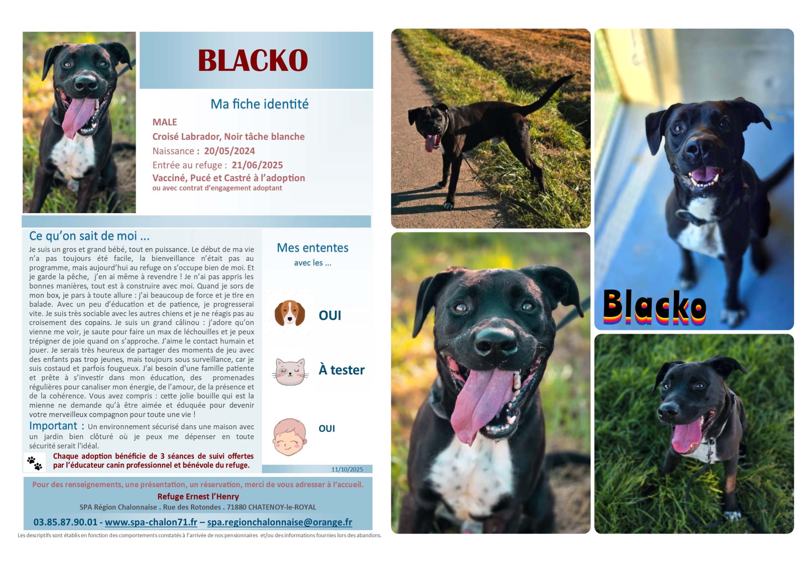 V VISUEL BLACKO POUR SITE