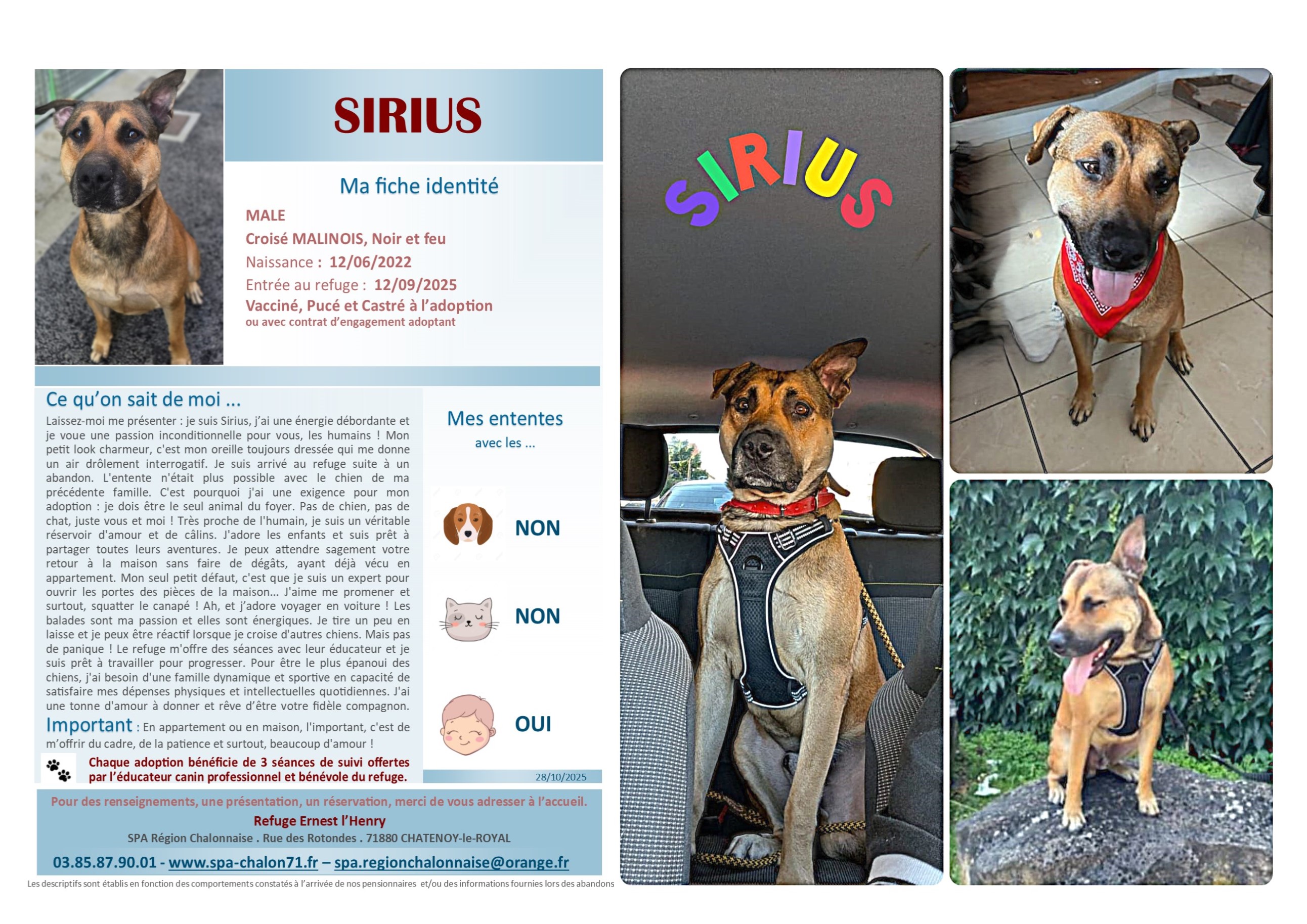 V VISUEL SIRIUS POUR SITE