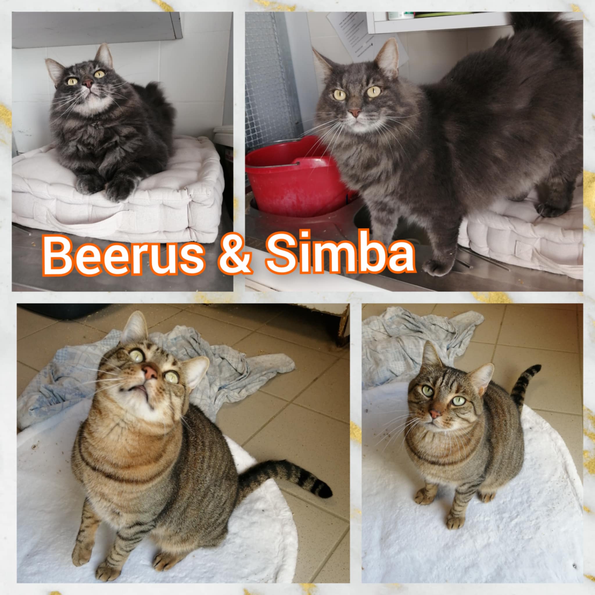 bd3307d8-2b7c-4991-9131-e862a2ad3e48