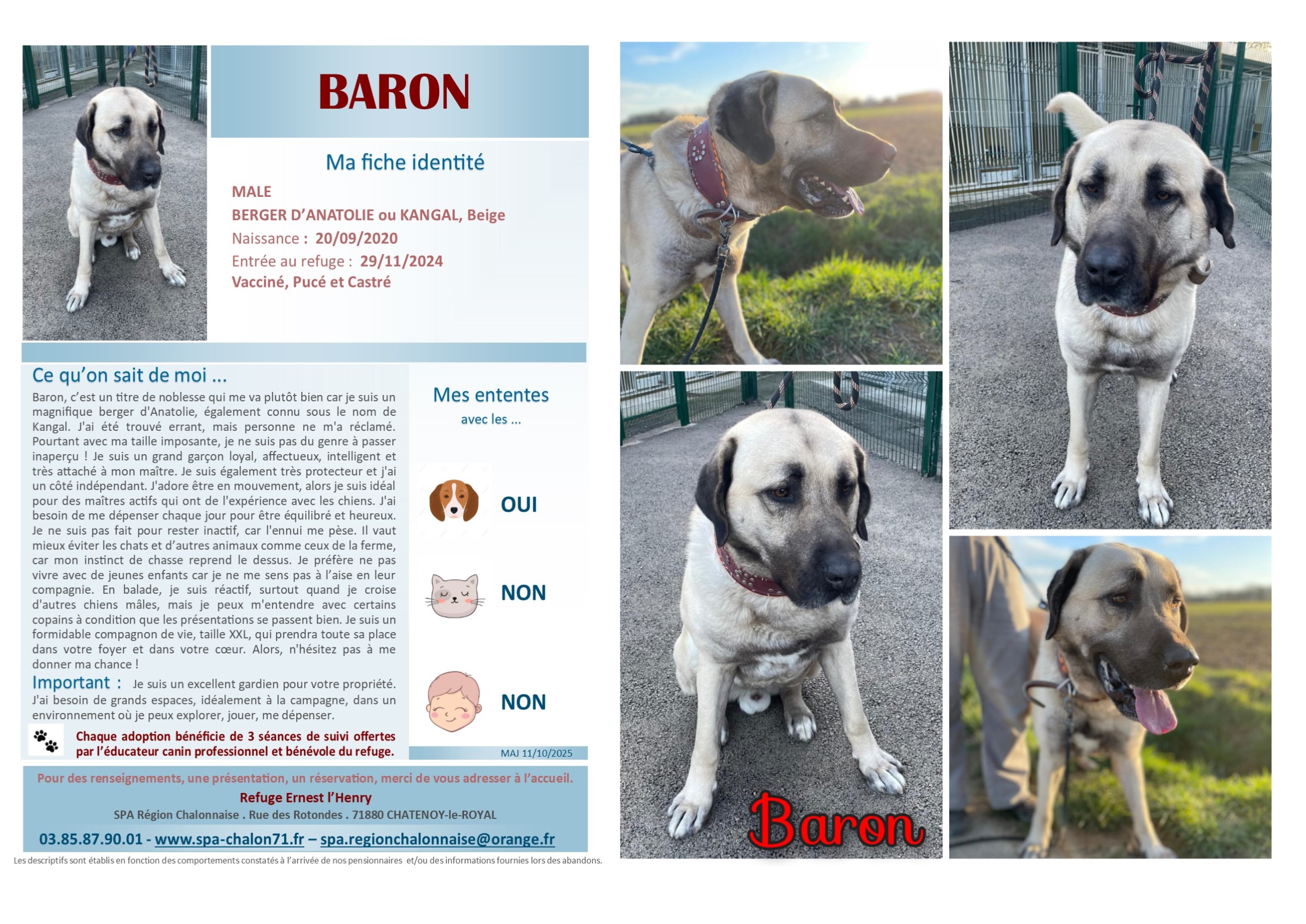 V VISUEL BARON POUR SITE (3)