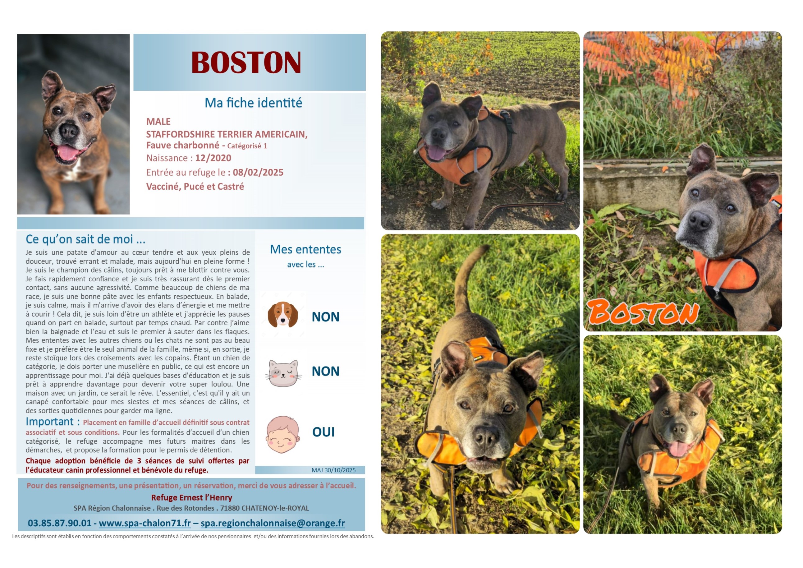 V VISUEL BOSTON SITE (2)