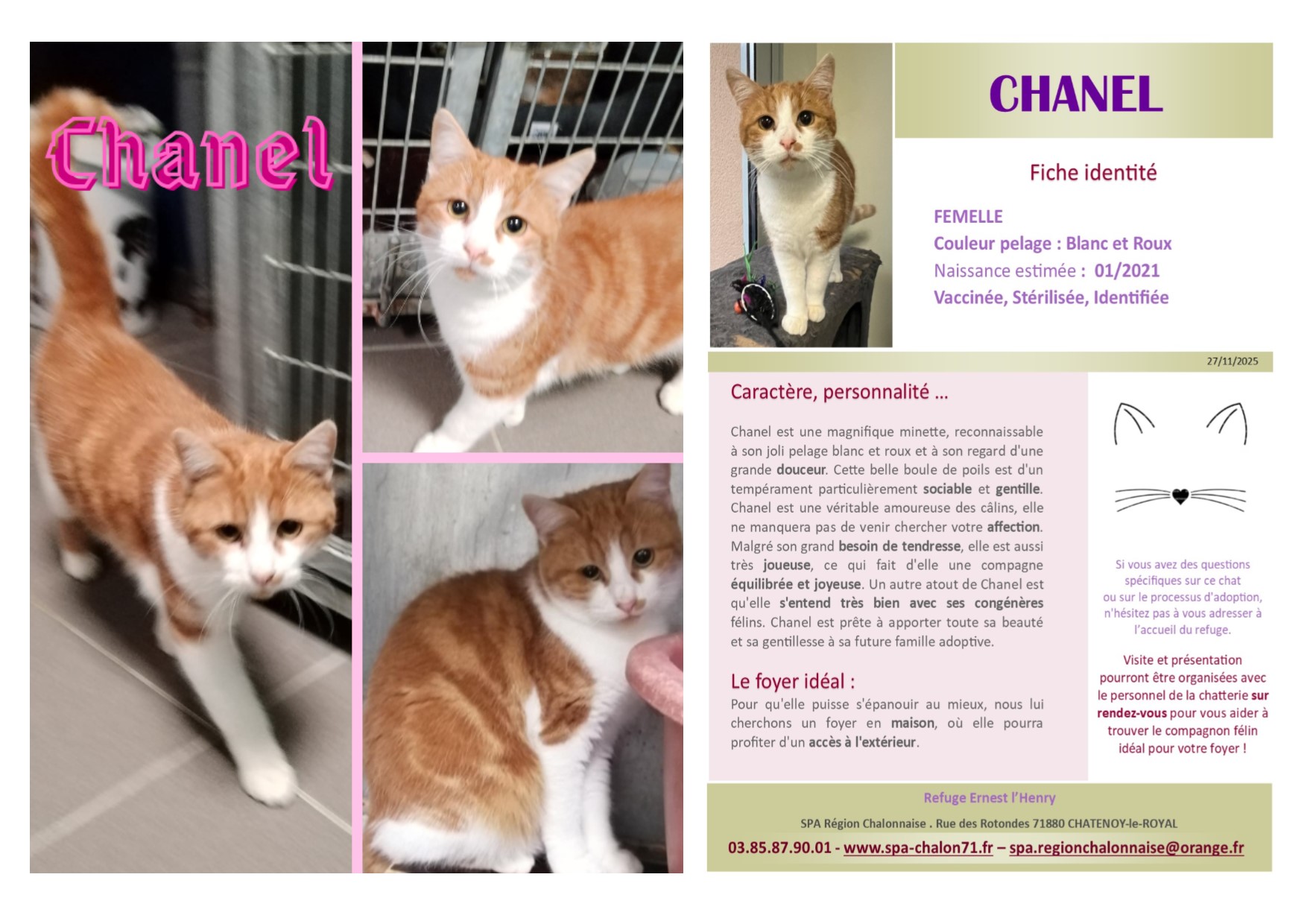 V VISUEL CHANEL POUR SITE