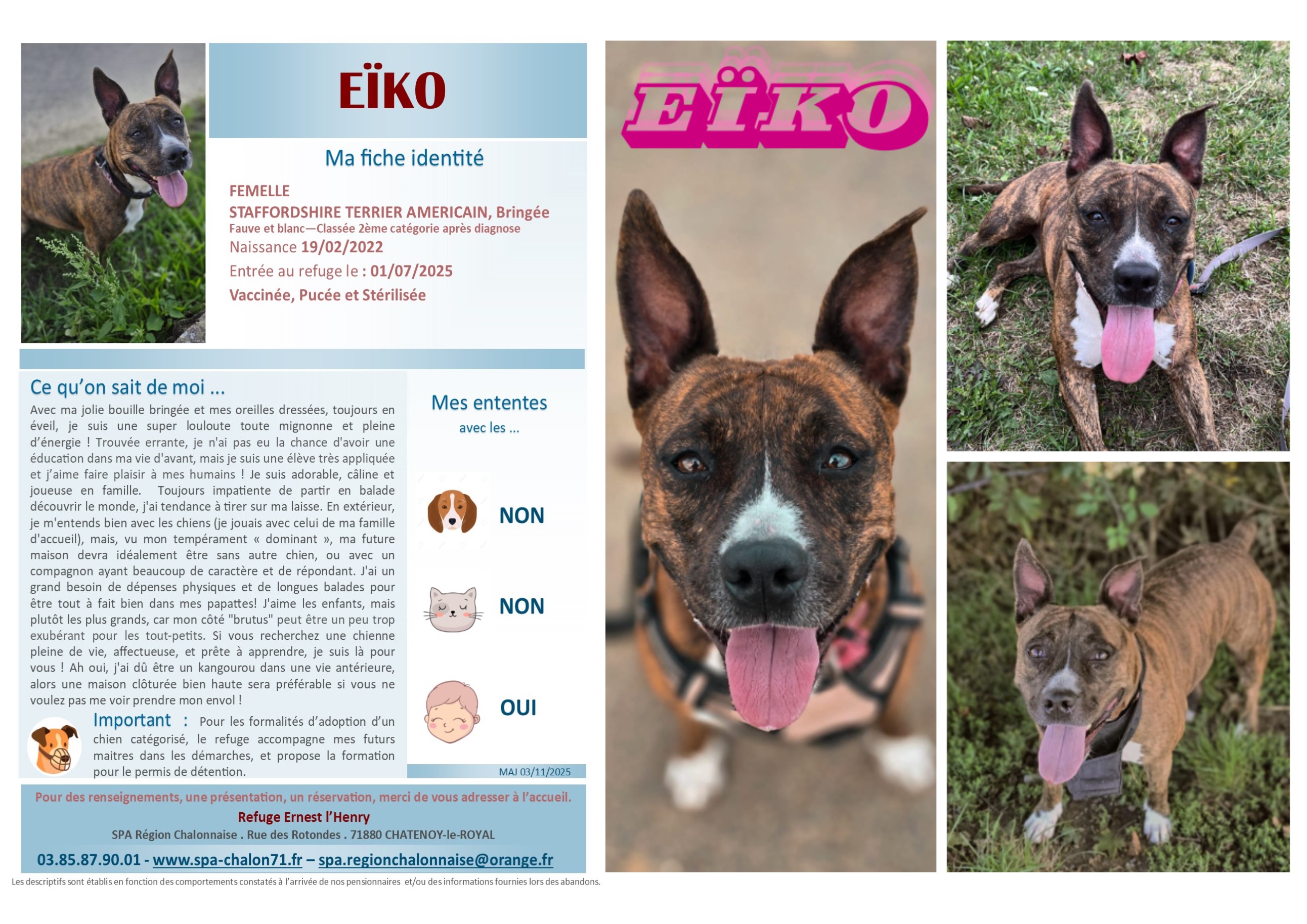 V VISUEL EIKO SITE (1)