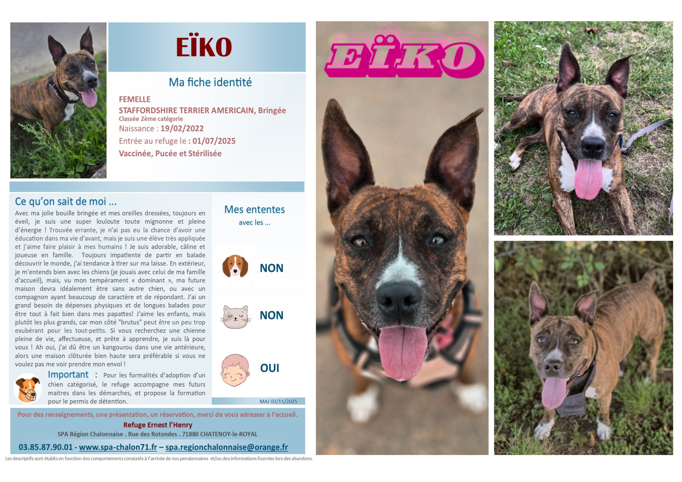 V VISUEL EIKO SITE (2)