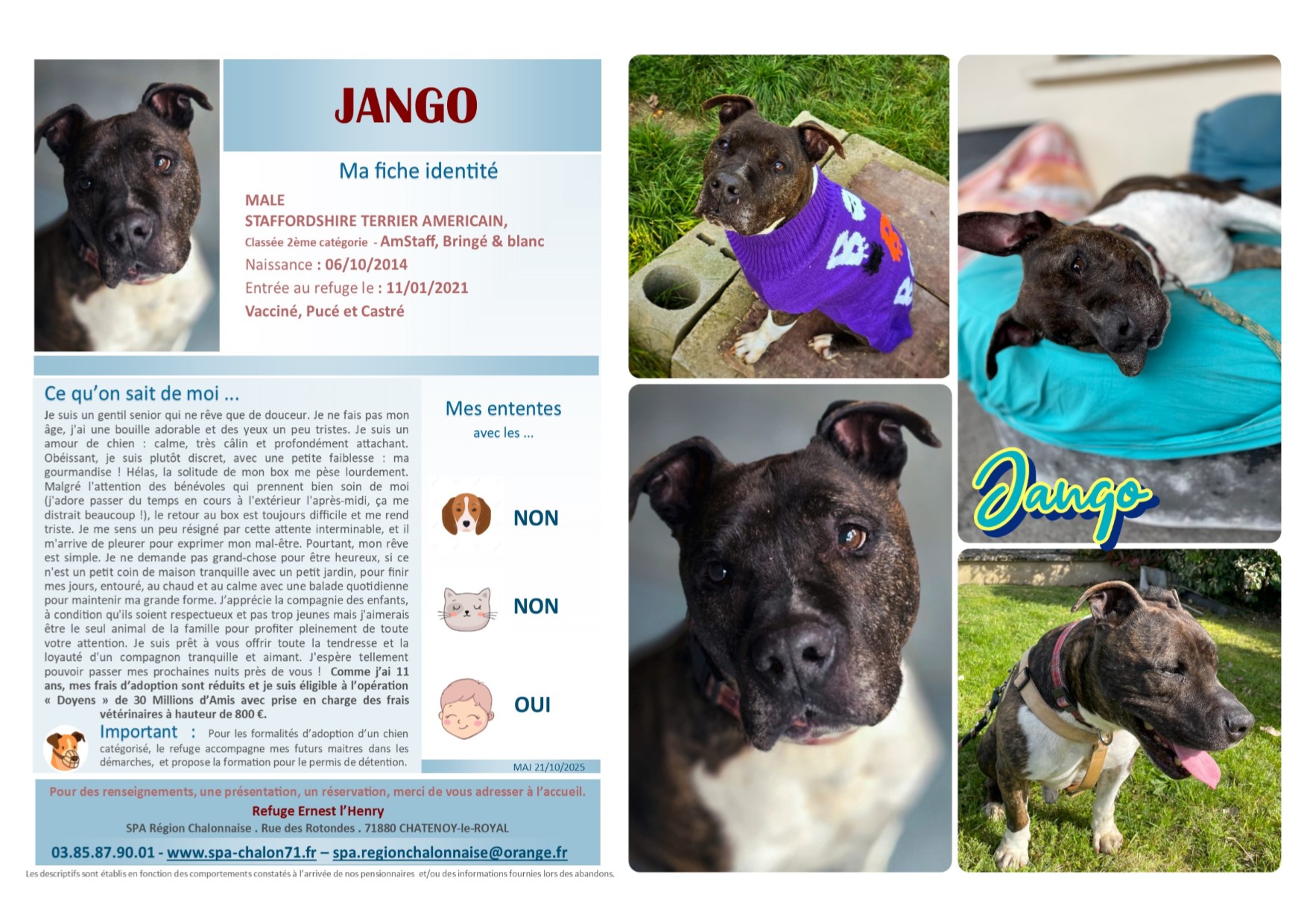 V VISUEL FINAL JANGO SITE