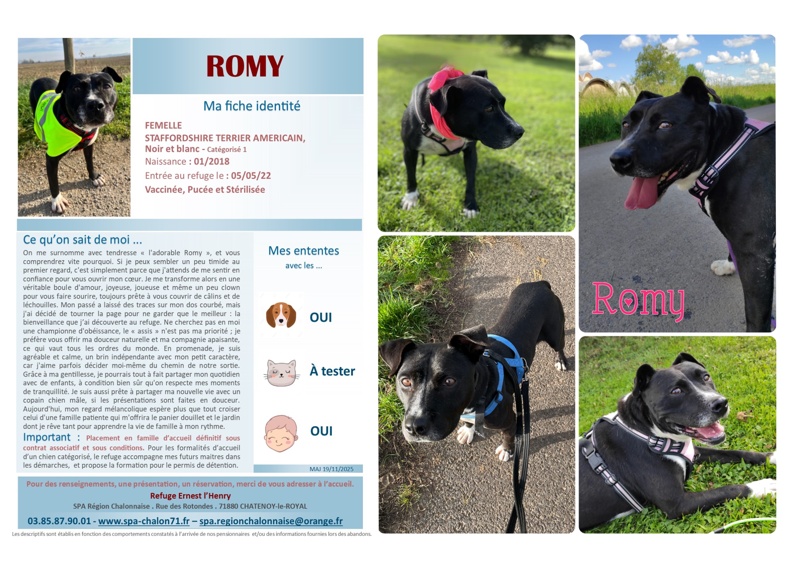 V VISUEL ROMY SITE (1)