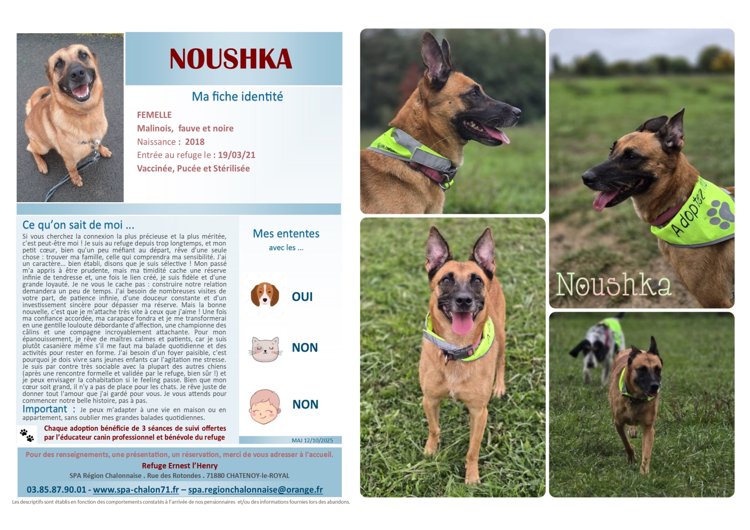 VISUEL FINAL NOUCHKA POUR SITE (1)