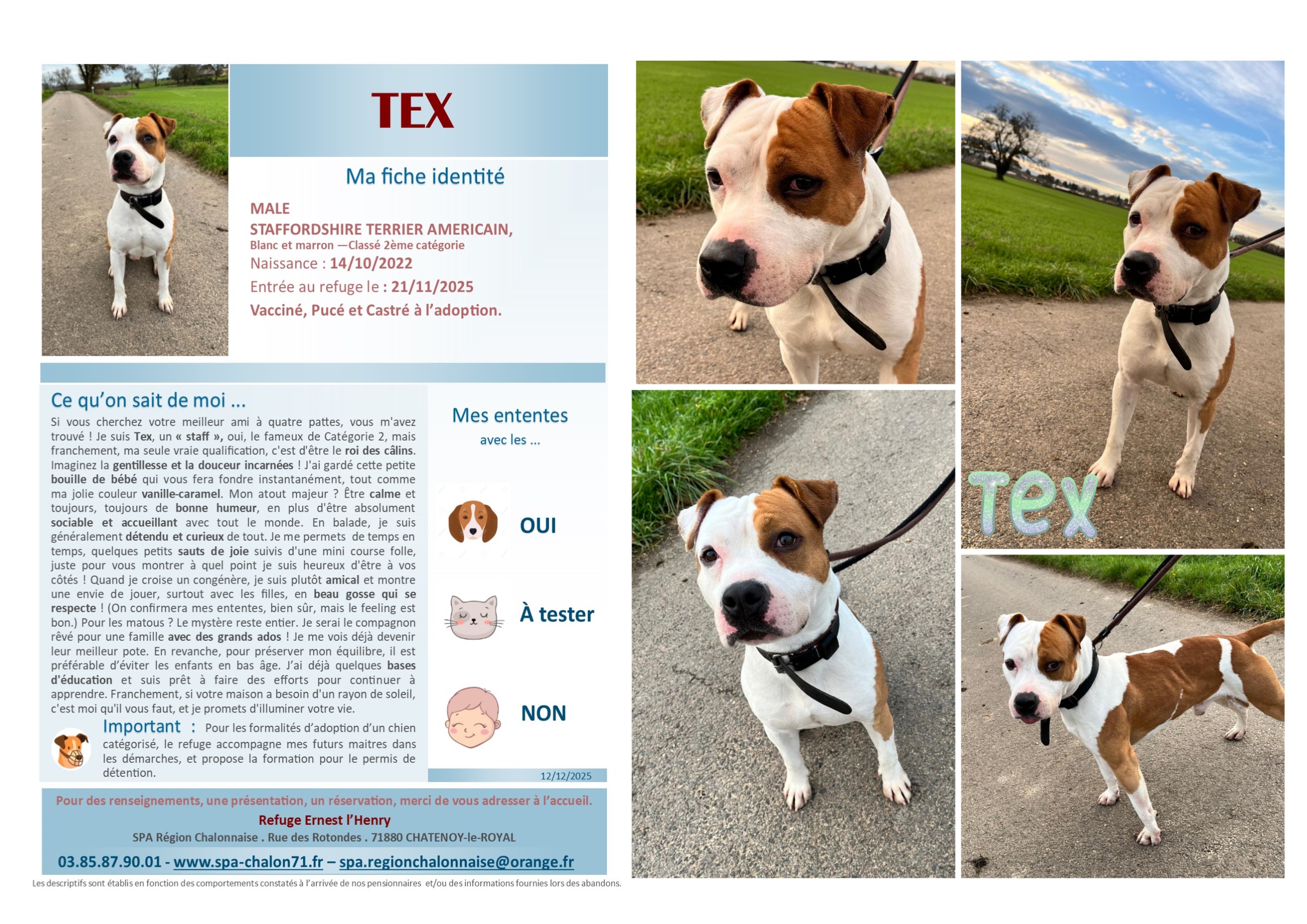 V VISUEL TEX SITE (2)