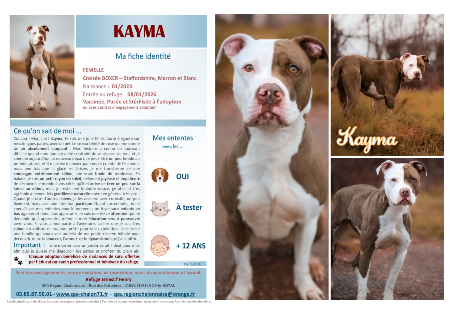 V VISUEL KAYMA SITE