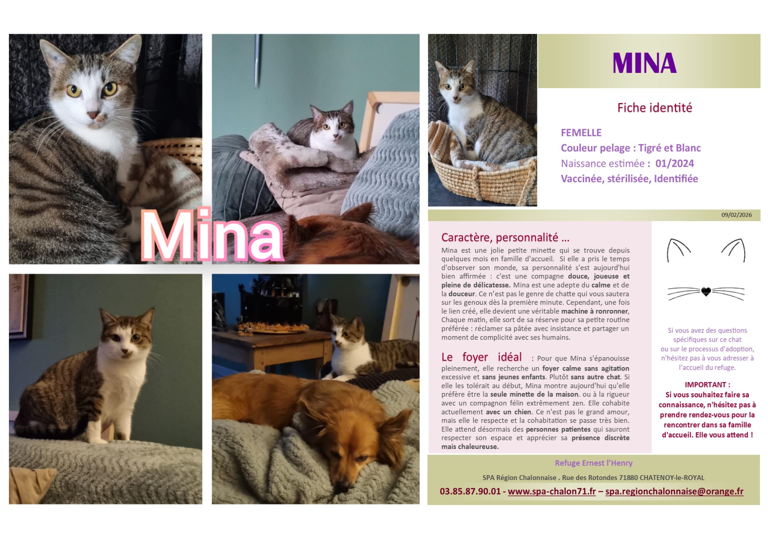 V VISUEL MINA SITE (1)