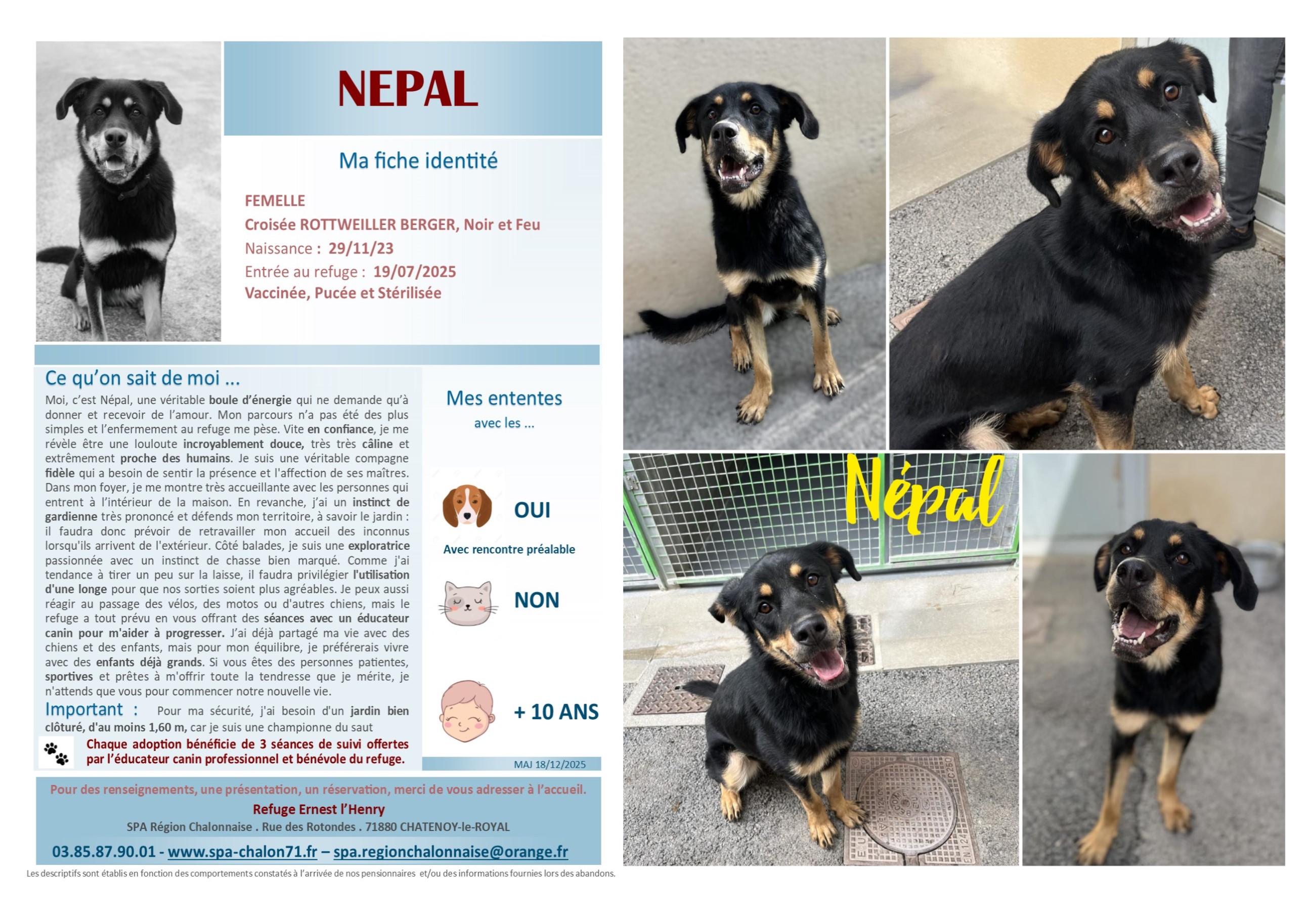 V VISUEL NEPAL POUR SITE (1)