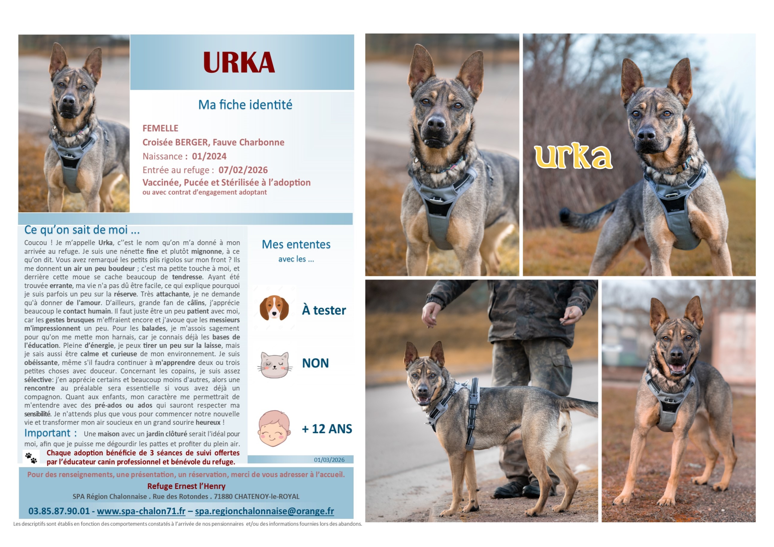 V VISUEL URKA SITE (1)